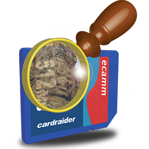 CardRaider icon